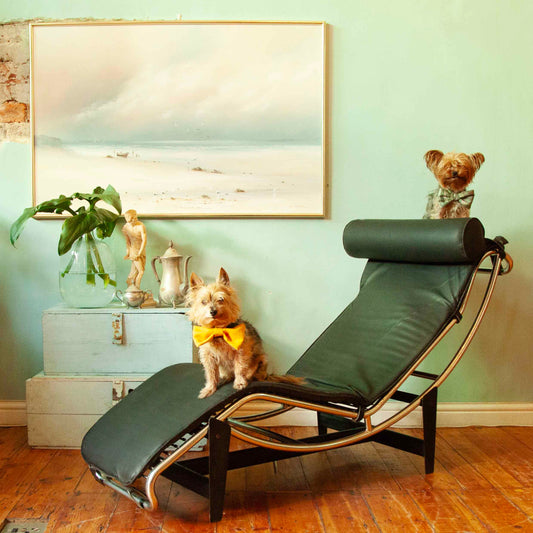 Le Corbusier Chaise Lounge Chair - REPLICA