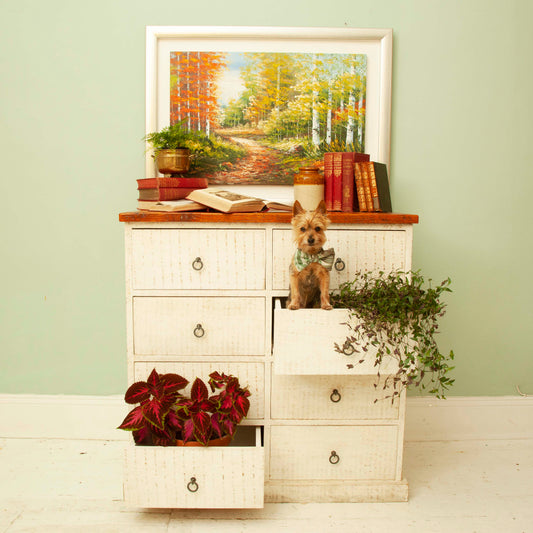 XL chest of drawers
