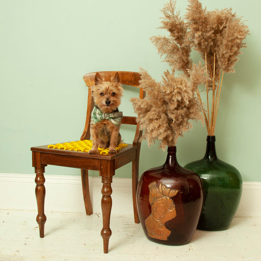 Thesen Knysna dining chair