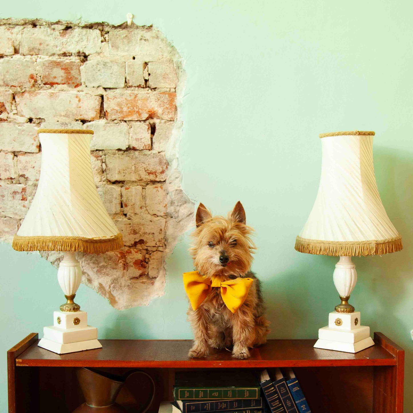 Pair bedside lamps