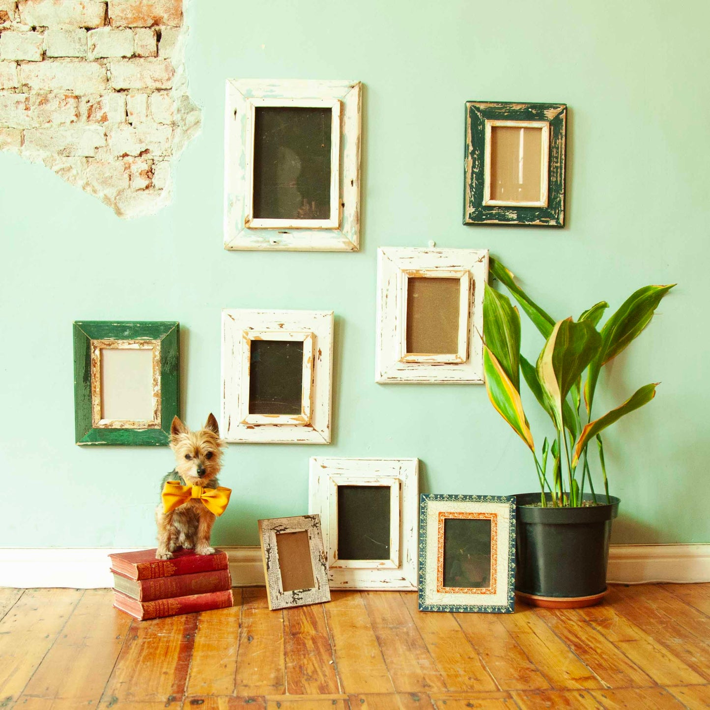 Rustic picture frames