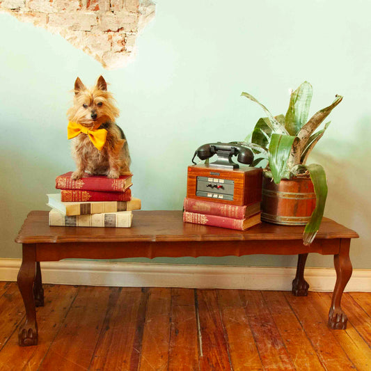 Ball & claw coffee table