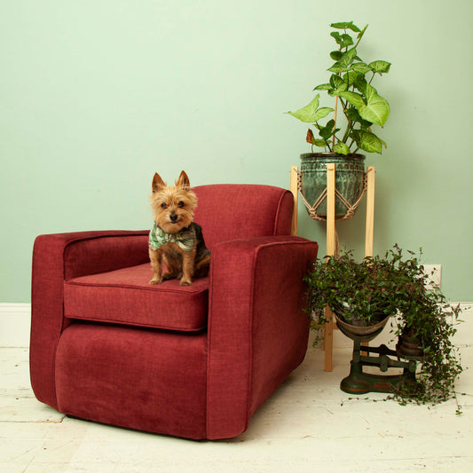 Upholstered armchair