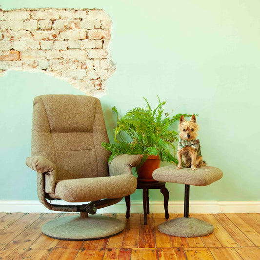 Recliner & stool